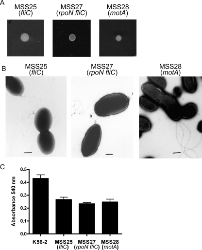 FIG. 4.