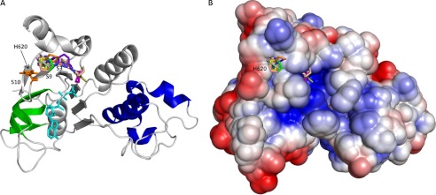 FIGURE 6.