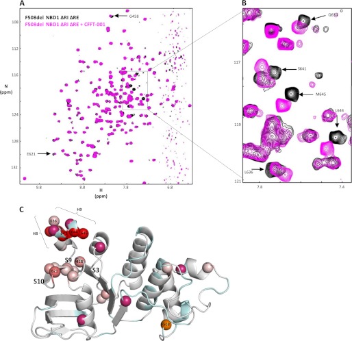 FIGURE 4.