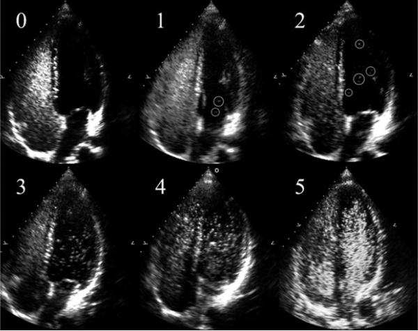 Fig. 5