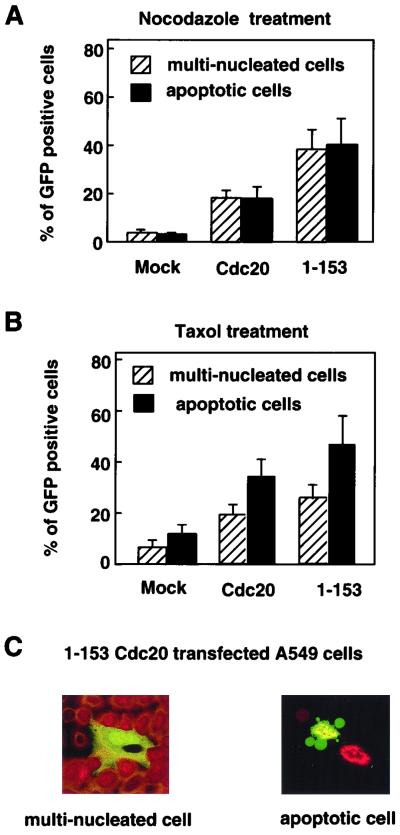 FIG. 7