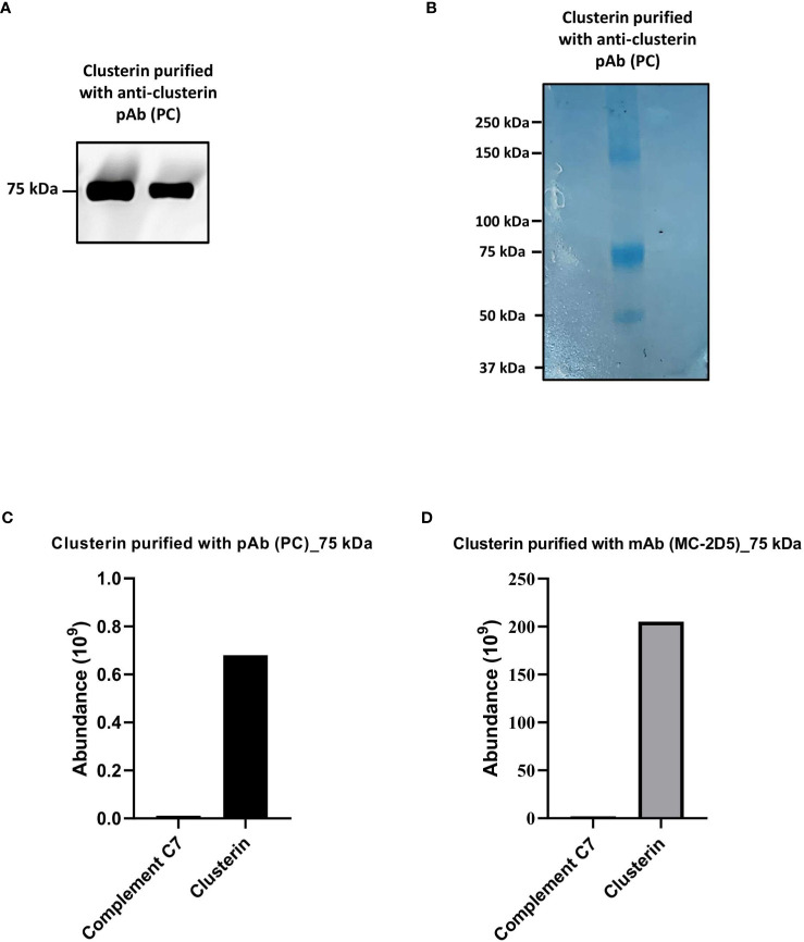 Figure 4