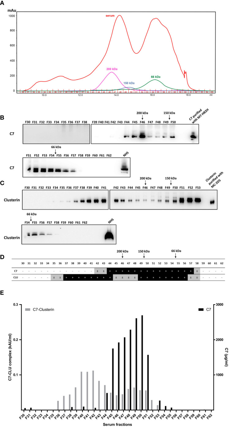 Figure 7