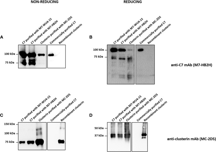 Figure 5