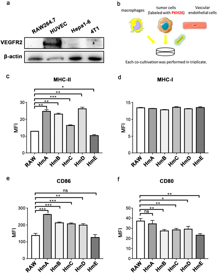 Fig.2