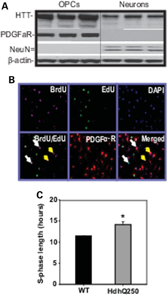 Figure 9.