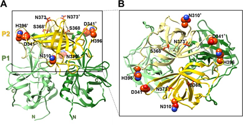 Fig 4