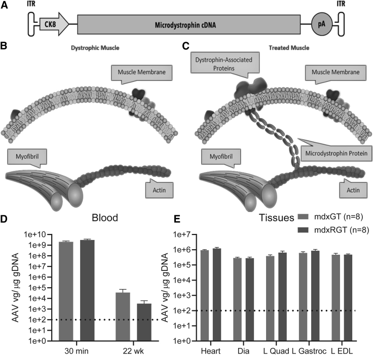 Figure 2