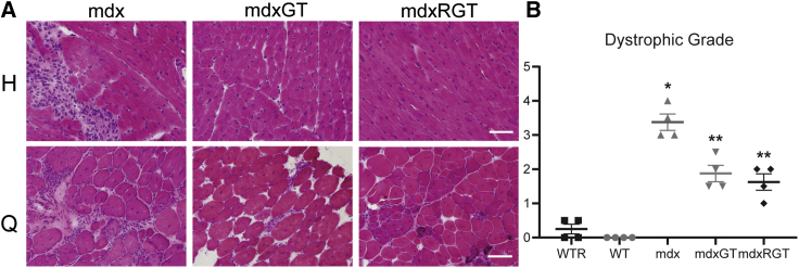 Figure 4