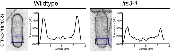 FIGURE 4.