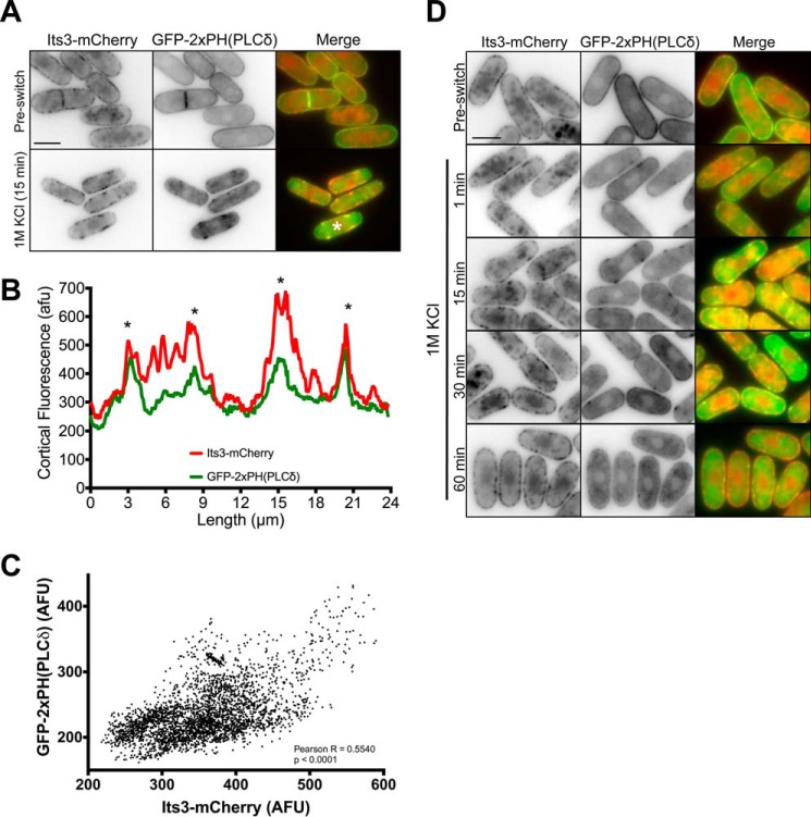 FIGURE 10.