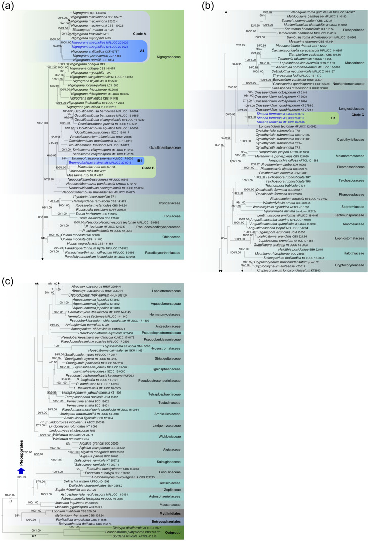 Fig 1