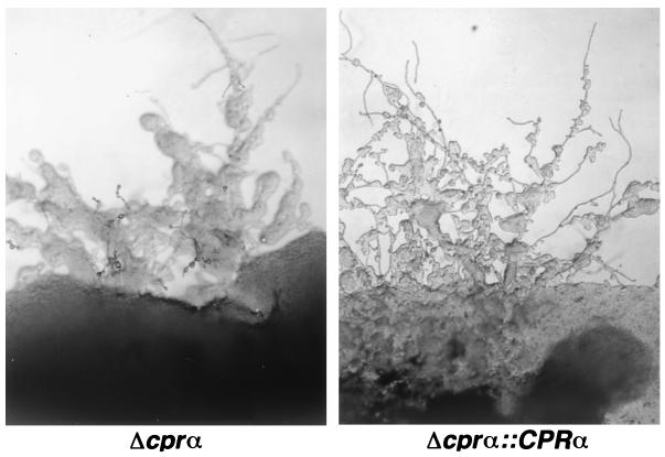 FIG. 5.