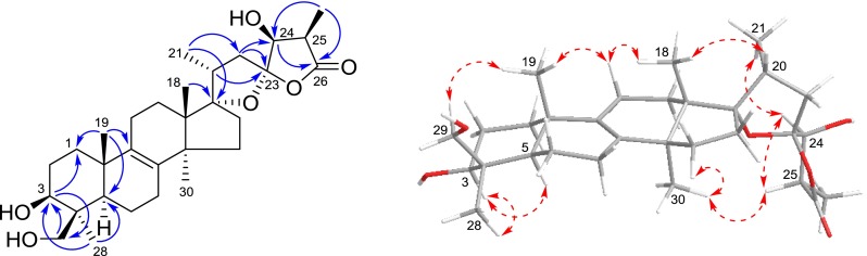 Fig. 2