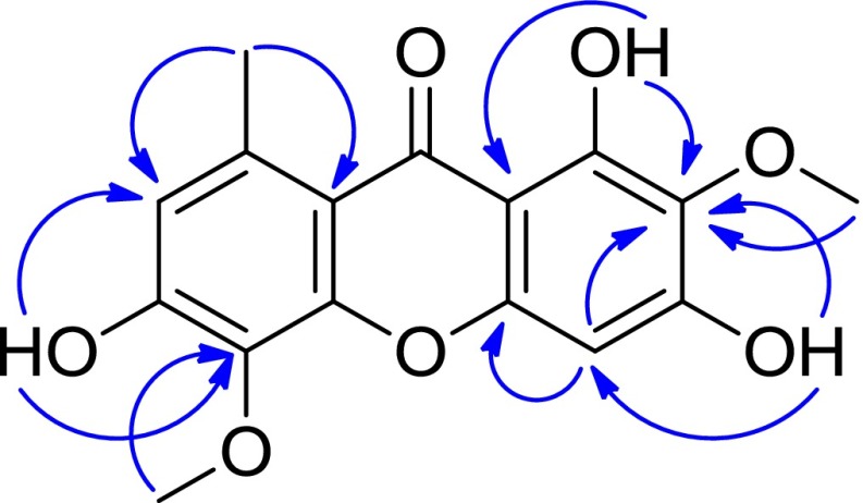 Fig. 4