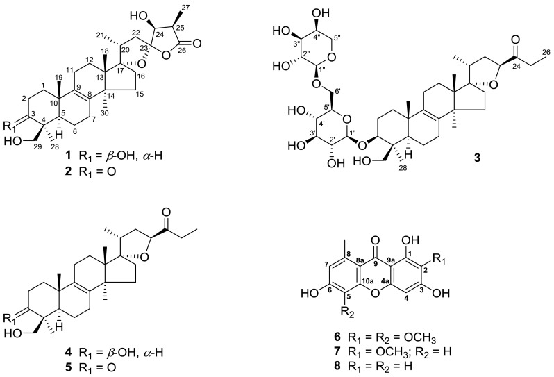 Fig. 1
