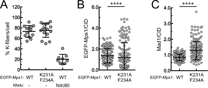 Figure 4—figure supplement 1.