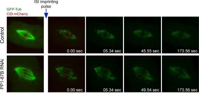 Figure 1—figure supplement 2.