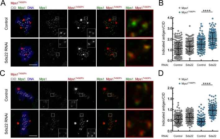 Figure 2—figure supplement 3.