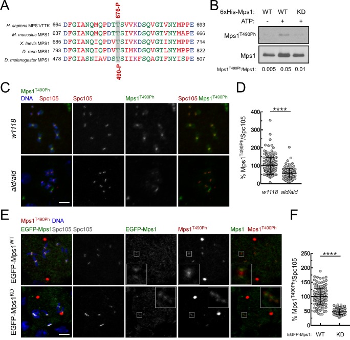 Figure 2—figure supplement 2.