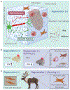 Fig 4.