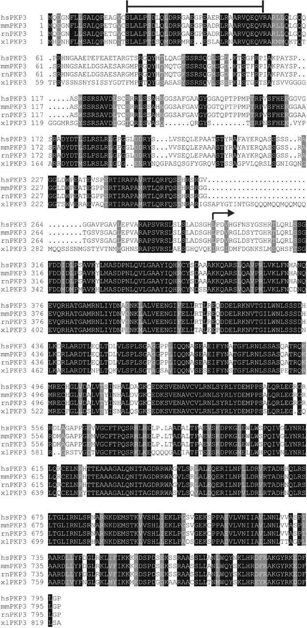 Figure 10.