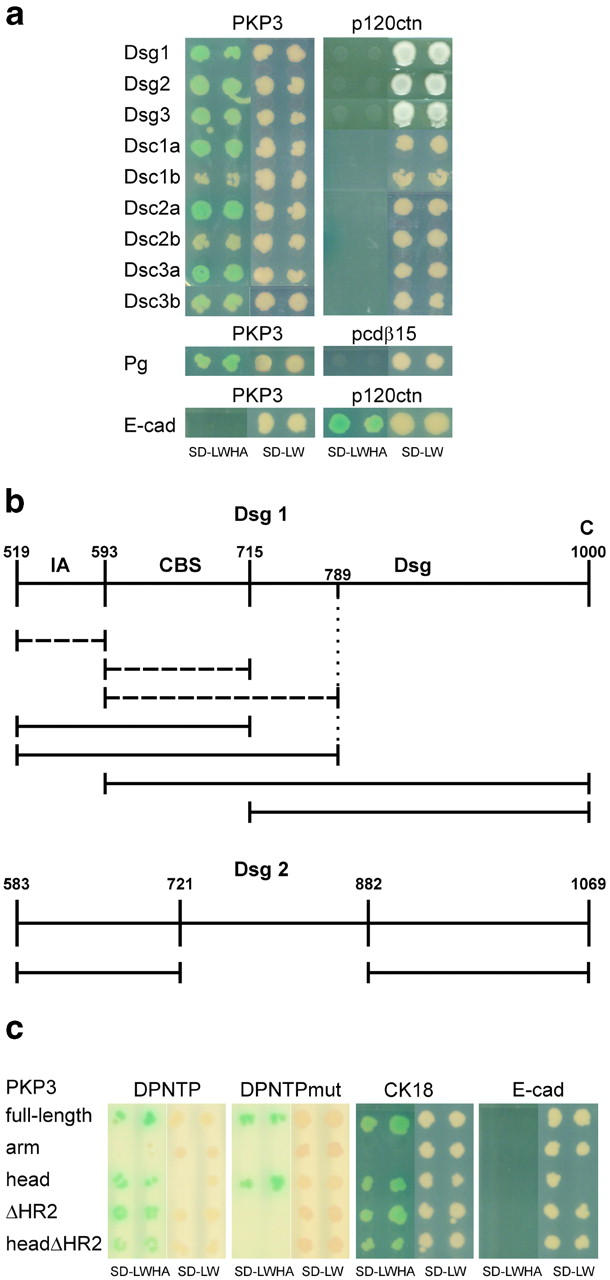 Figure 7.