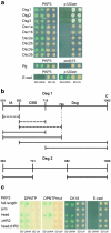 Figure 7.