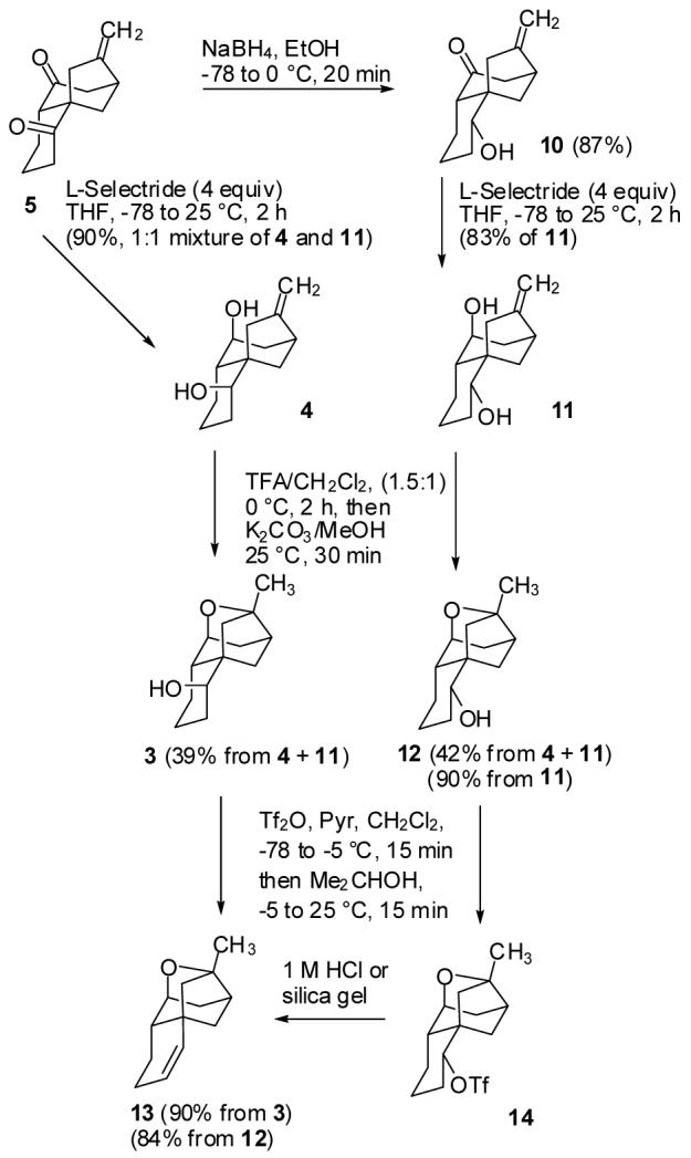 Scheme 3