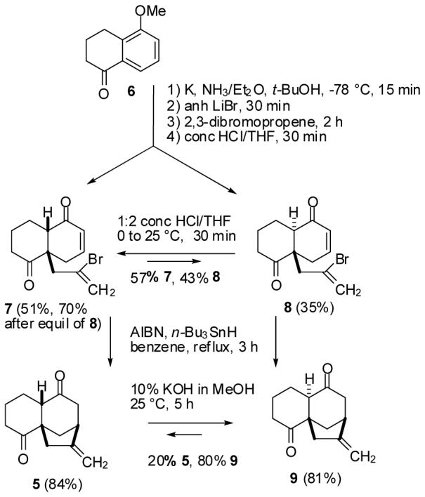 Scheme 2