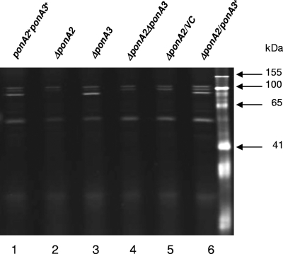 FIG. 4.