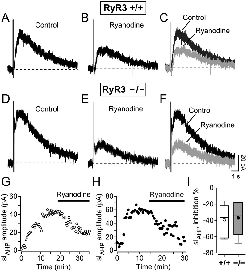 Fig 5