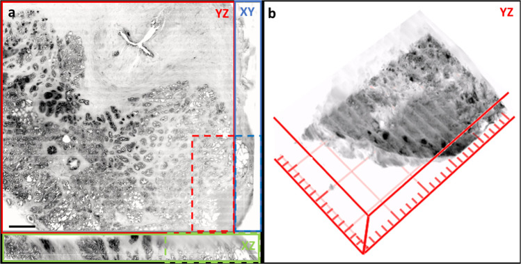 Fig. 7