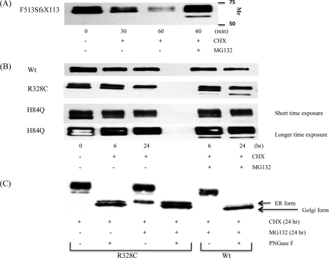 FIGURE 4.