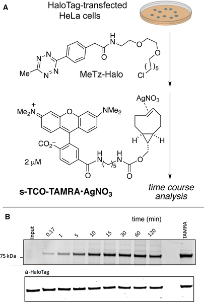 Figure 13.