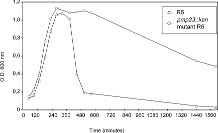 Fig. (2).Flocculation measurements of the R6 parental and pmp23::kan mutant strains.