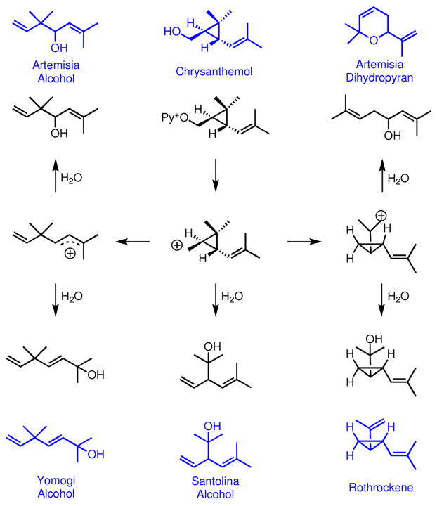 Scheme 3