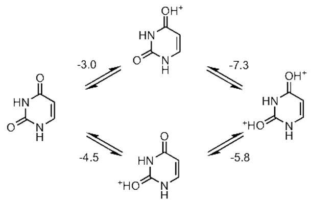 Scheme 7