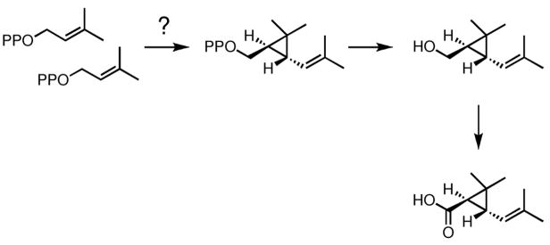 Scheme 9