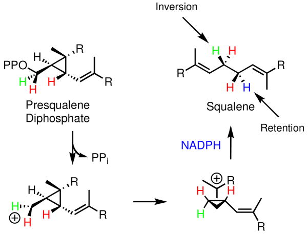 Scheme 2