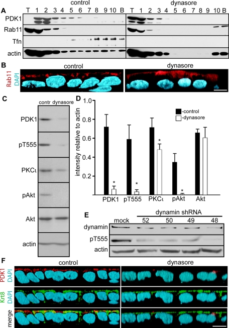 FIGURE 5: