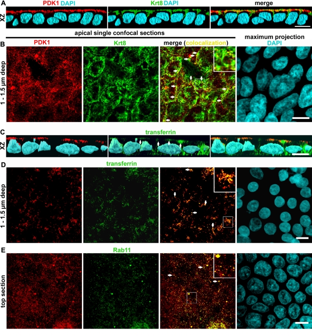 FIGURE 3: