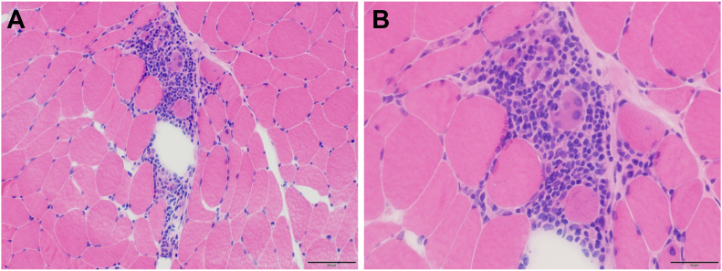 Figure 3