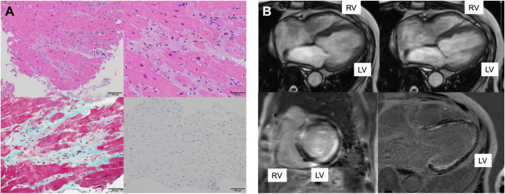 Figure 5