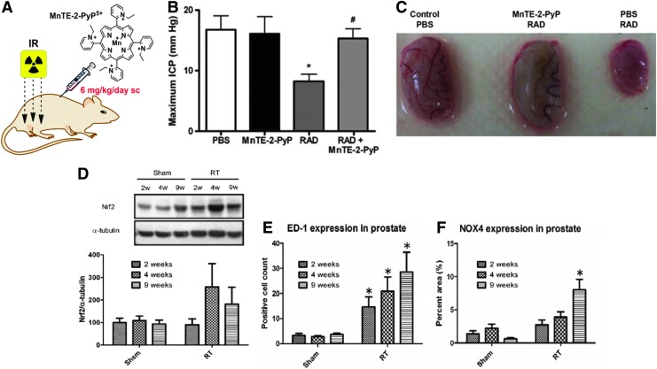 FIG. 23.