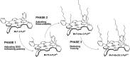 <b>FIG. 2.</b>