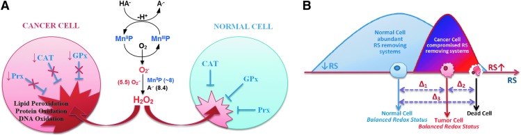 FIG. 11.