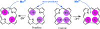 <b>FIG. 10.</b>