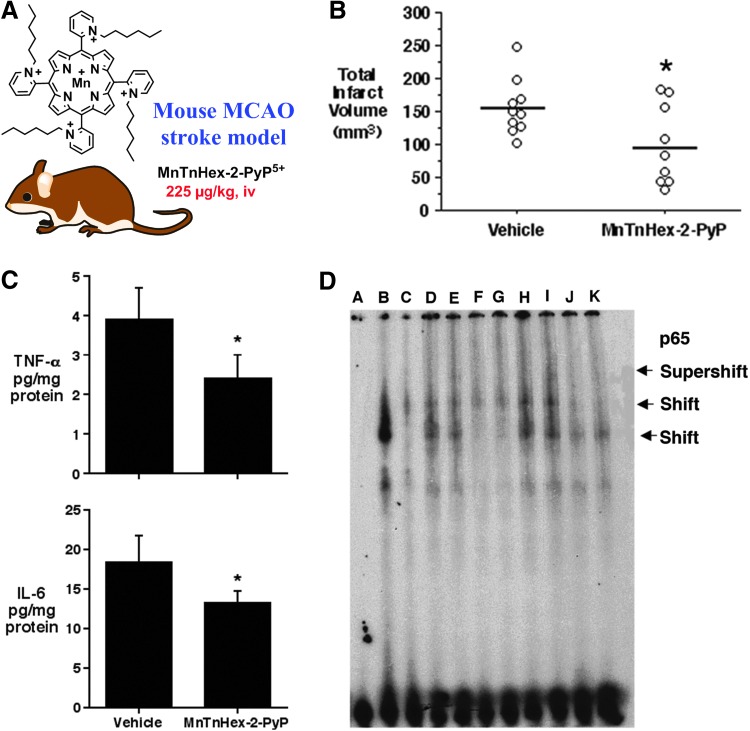 FIG. 14.