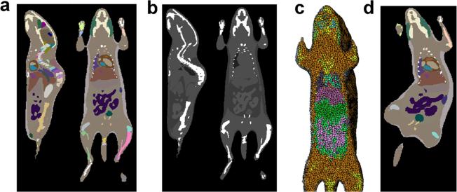 Fig. 6